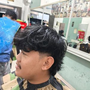 Mullet